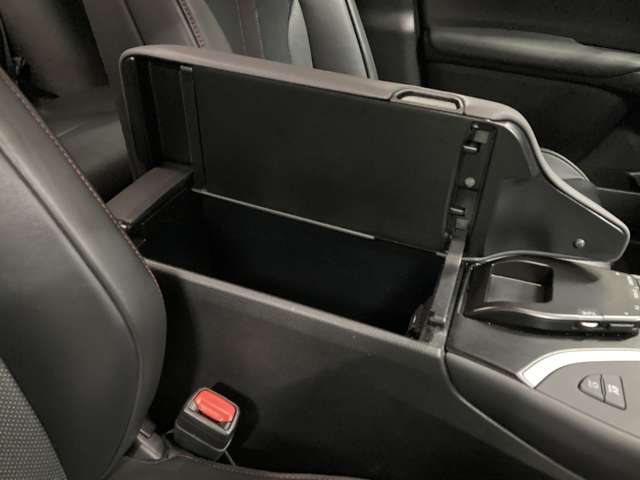 レクサス ＵＸ２５０ｈ Ｆスポーツ R1年 (北海道) 99