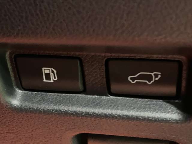 レクサス ＵＸ２５０ｈ Ｆスポーツ R1年 (北海道) 99