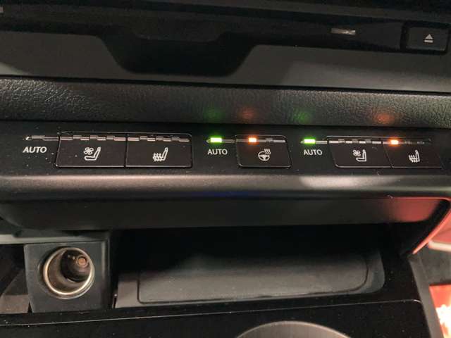 レクサス ＵＸ２５０ｈ Ｆスポーツ R1年 (北海道) 99