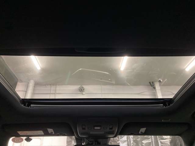 レクサス ＵＸ２５０ｈ Ｆスポーツ R1年 (北海道) 99