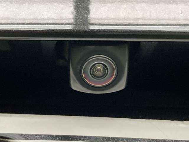 レクサス ＵＸ２５０ｈ Ｆスポーツ R1年 (北海道) 99