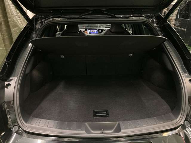 レクサス ＵＸ２５０ｈ Ｆスポーツ R1年 (北海道) 99