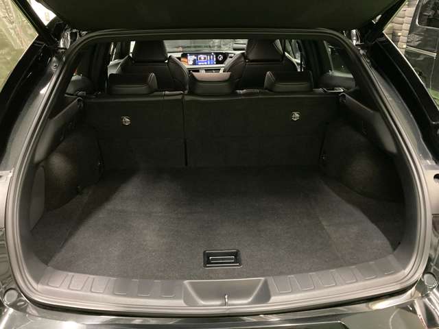 レクサス ＵＸ２５０ｈ Ｆスポーツ R1年 (北海道) 99