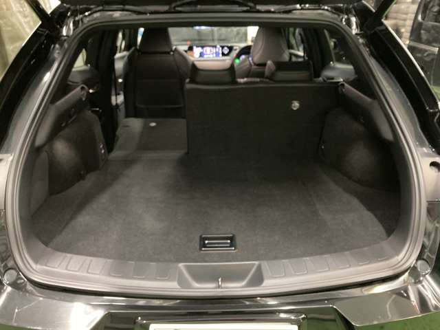 レクサス ＵＸ２５０ｈ Ｆスポーツ R1年 (北海道) 99