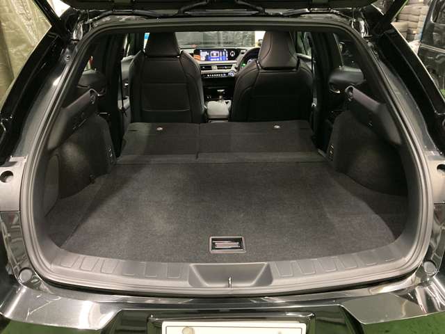 レクサス ＵＸ２５０ｈ Ｆスポーツ R1年 (北海道) 99