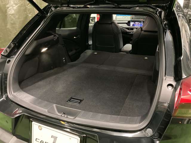 レクサス ＵＸ２５０ｈ Ｆスポーツ R1年 (北海道) 99