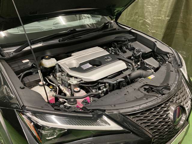レクサス ＵＸ２５０ｈ Ｆスポーツ R1年 (北海道) 99