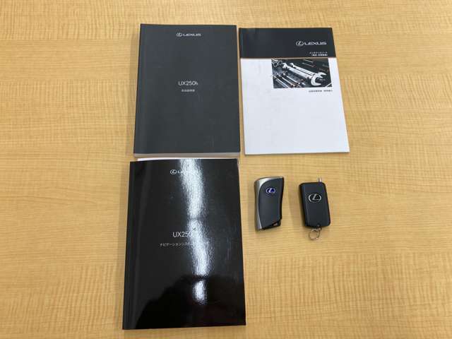 レクサス ＵＸ２５０ｈ Ｆスポーツ R1年 (北海道) 99