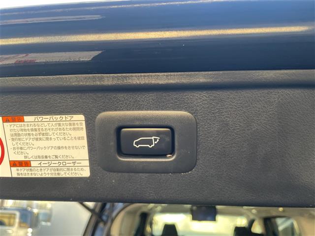 トヨタ ヴェルファイア ２．５ Ｚ Ｇエディション ４ＷＤ H28年 (東海) 99