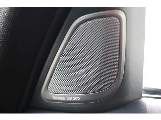 ＢＭＷ ７シリーズ ７４０ｉ　Ｍスポーツ R1年 (関東) 99