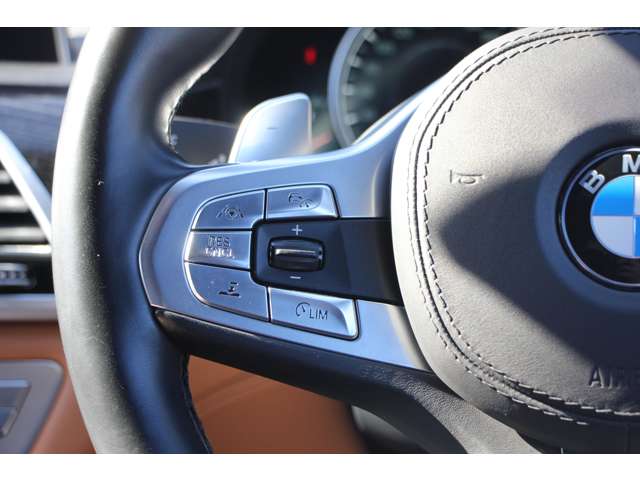 ＢＭＷ ７シリーズ ７４０ｉ　Ｍスポーツ R1年 (関東) 99