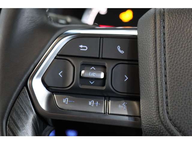 トヨタ ランドクルーザー ３．３ ＧＲスポーツ ディーゼルターボ ４ＷＤ R3年 (近畿) 99