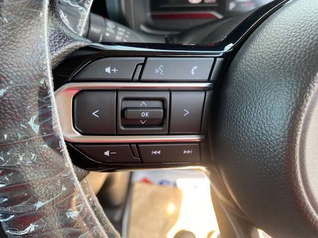 スズキ スペーシア ６６０ カスタム ハイブリッド ＧＳ ４ＷＤ R6年 (東北) 99