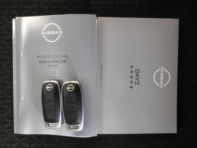 日産 デイズ ６６０ ハイウェイスターＸ R6年 (九州・沖縄) 99