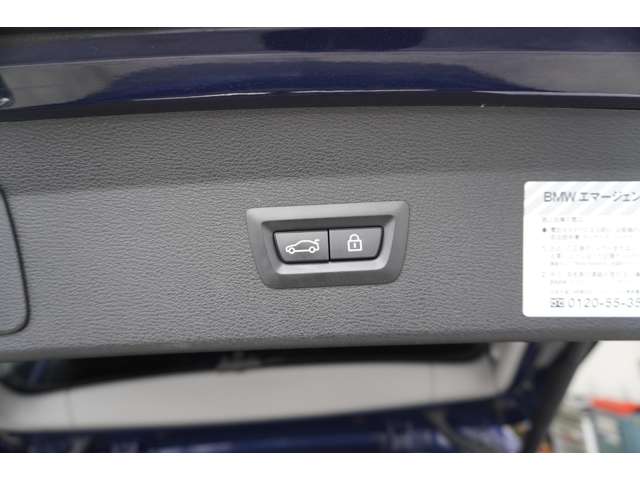 ＢＭＷ Ｘ１ Ｘドライブ １８Ｄ Ｘライン ４ＷＤ R2年 (近畿) 99