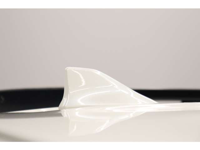 トヨタ ランドクルーザープラド ２．８ ＴＸ Ｌパッケージ マットブラック エディション ディーゼルターボ ４ＷＤ R5年 (東海) 99