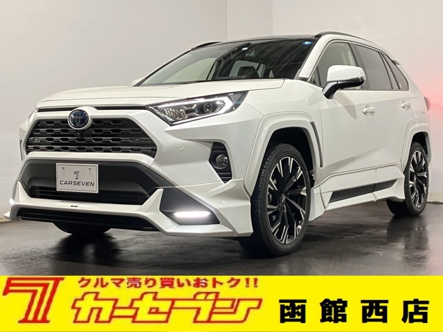 トヨタ ＲＡＶ４ ２．５ ハイブリッド Ｇ Ｅ－ＦＯＵＲ ４ＷＤ R3年 (北海道) 99