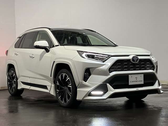トヨタ ＲＡＶ４ ２．５ ハイブリッド Ｇ Ｅ－ＦＯＵＲ ４ＷＤ R3年 (北海道) 99
