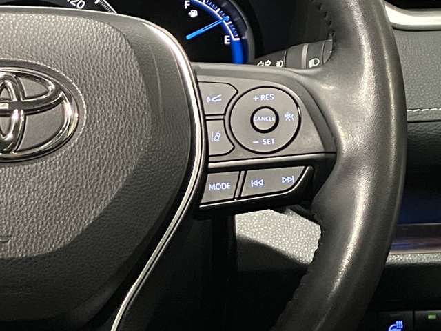 トヨタ ＲＡＶ４ ２．５ ハイブリッド Ｇ Ｅ－ＦＯＵＲ ４ＷＤ R3年 (北海道) 99