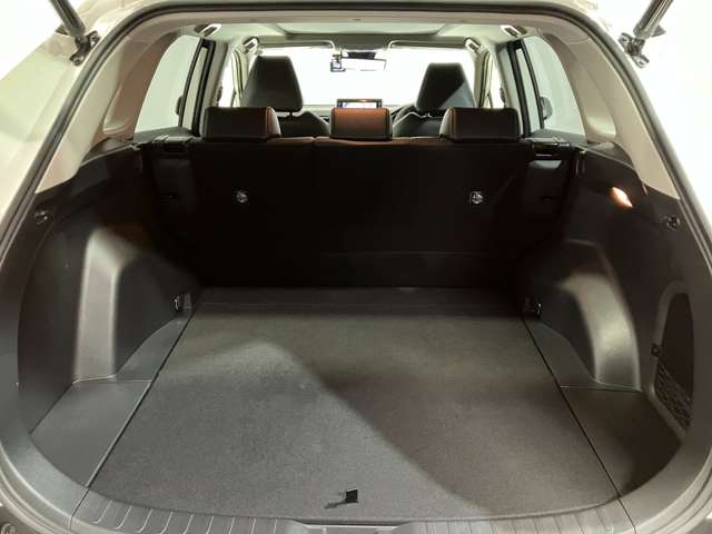 トヨタ ＲＡＶ４ ２．５ ハイブリッド Ｇ Ｅ－ＦＯＵＲ ４ＷＤ R3年 (北海道) 99