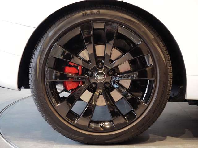 ランドローバー レンジローバー スポーツ オートバイオグラフィ ３．０Ｌ Ｄ３００ ディーゼルターボ ４ＷＤ R6年 (近畿) 99