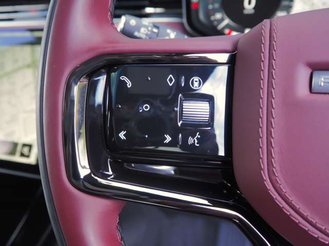 ランドローバー レンジローバー スポーツ オートバイオグラフィ ３．０Ｌ Ｄ３００ ディーゼルターボ ４ＷＤ R6年 (近畿) 99