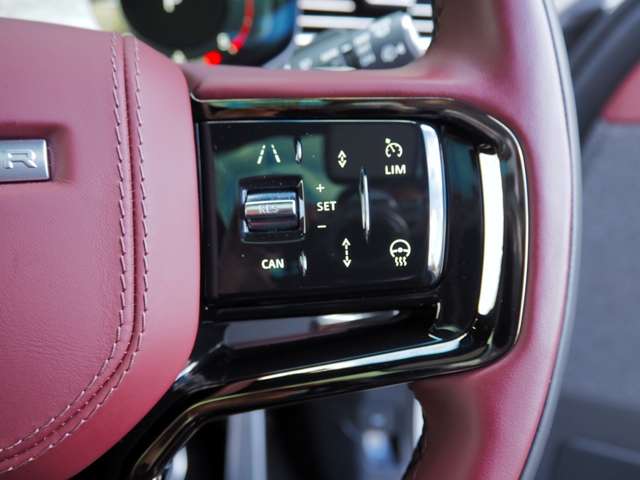 ランドローバー レンジローバー スポーツ オートバイオグラフィ ３．０Ｌ Ｄ３００ ディーゼルターボ ４ＷＤ R6年 (近畿) 99