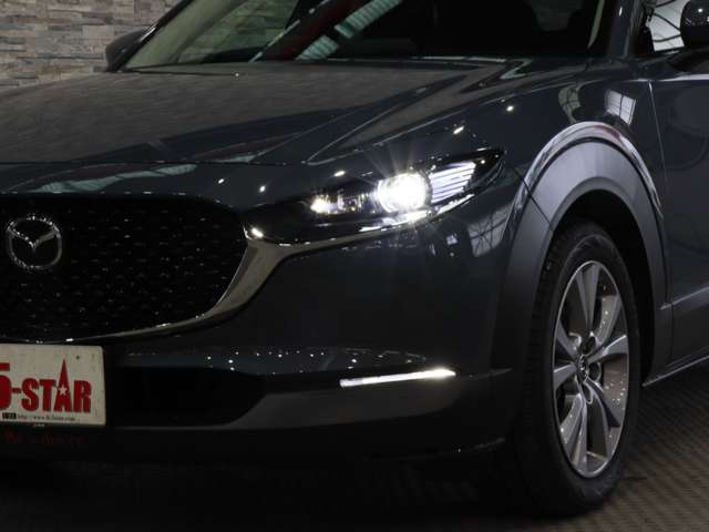 マツダ ＣＸ−３０ １．８ ＸＤ プロアクティブ ツーリングセレクション ディーゼルターボ R2年 (関東) 99