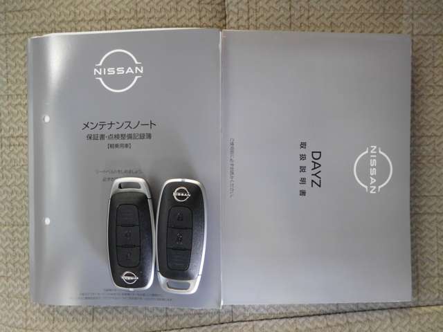 日産 デイズ ６６０ Ｘ R6年 (九州・沖縄) 99