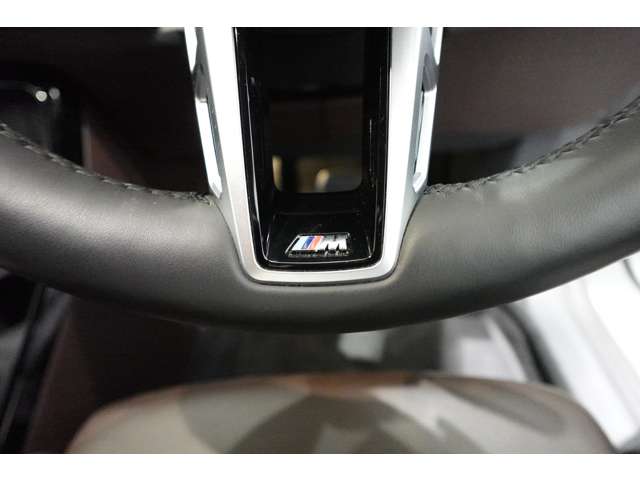 ＢＭＷ ２シリーズアクティブツアラー ２１８Ｉ Ｍスポーツ ＤＣＴ R6年 (近畿) 99