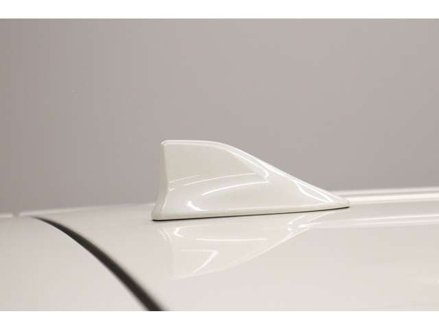 トヨタ アルファード ２．５ Ｓ Ｃパッケージ R4年 (東海) 99