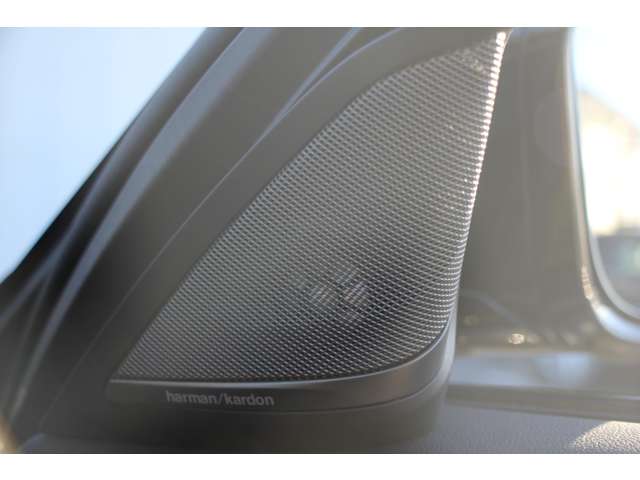 ＢＭＷ ５シリーズ ５３０Ｉ エディション ＭＩＳＳＩＯＮ ＩＭＰＯＳＳＩＢＬＥ R1年 (関東) 99