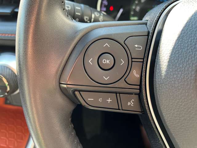 トヨタ ＲＡＶ４ ２．０ アドベンチャー ４ＷＤ R2年 (東海) 99