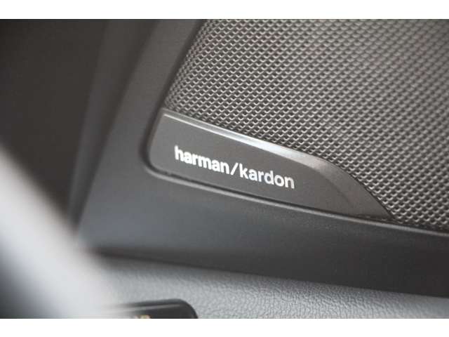 ＢＭＷ Ｘ３ Ｘドライブ２０Ｄ Ｍスポーツ ディーゼルターボ ４ＷＤ R1年 (関東) 99