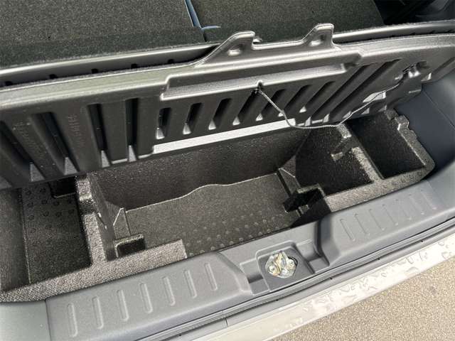 ダイハツ ムーヴ　キャンバス ６６０ ストライプス Ｇ R6年 (近畿) 99