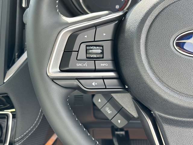 スバル フォレスター　ハイブリッド ２．０ アーバン セレクション ４ＷＤ R6年 (近畿) 99