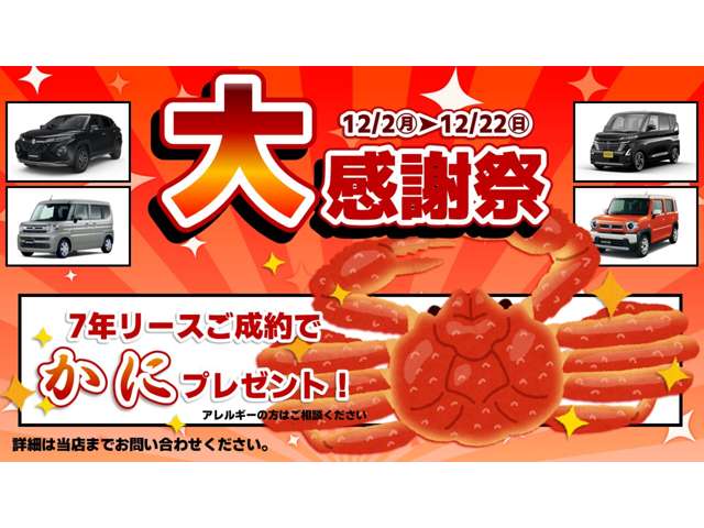 スズキ ハスラー ６６０ ハイブリッド Ｇ ４ＷＤ R6年 (東北) 99