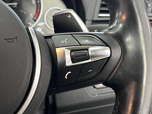 ＢＭＷ ５シリーズ ５２３Ｄ Ｍスポーツ ザ ピーク ディーゼルターボ H29年 (関東) 99