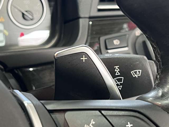 ＢＭＷ ５シリーズ ５２３Ｄ Ｍスポーツ ザ ピーク ディーゼルターボ H29年 (関東) 99