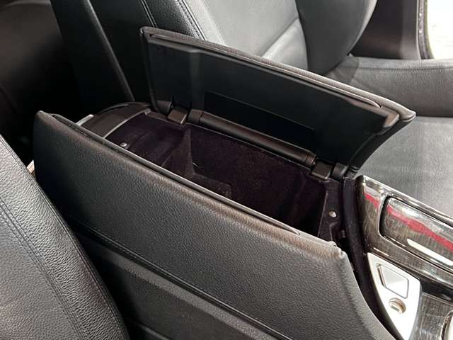 ＢＭＷ ５シリーズ ５２３Ｄ Ｍスポーツ ザ ピーク ディーゼルターボ H29年 (関東) 99