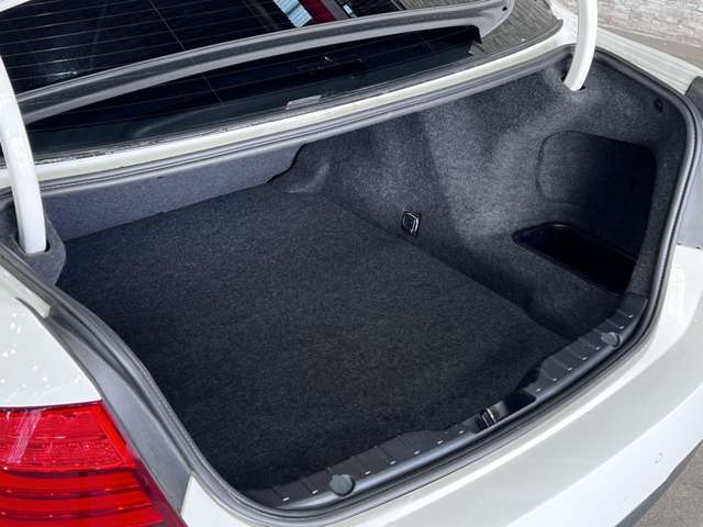 ＢＭＷ ５シリーズ ５２３Ｄ Ｍスポーツ ザ ピーク ディーゼルターボ H29年 (関東) 99