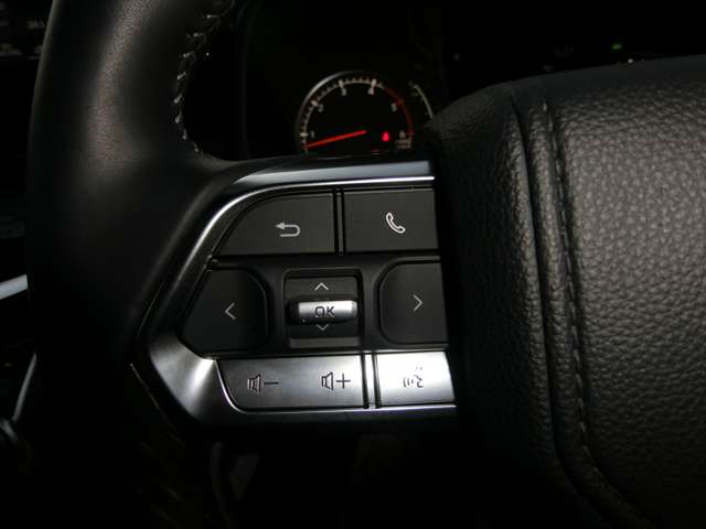 トヨタ ランドクルーザー ３．３ ＧＲスポーツ ディーゼルターボ ４ＷＤ R5年 (中国) 99