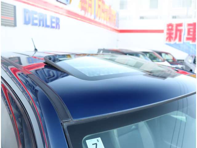 スズキ エスクード ２．４ オニール リミテッド ４ＷＤ H21年 (関東) 99