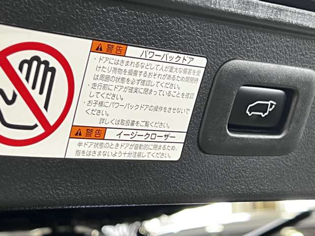 トヨタ アルファード ２．５ Ｓ Ａパッケージ タイプ ブラック H28年 (関東) 99