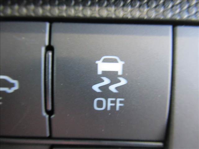 ダイハツ タフト ６６０ Ｇ R5年 (東北) 99