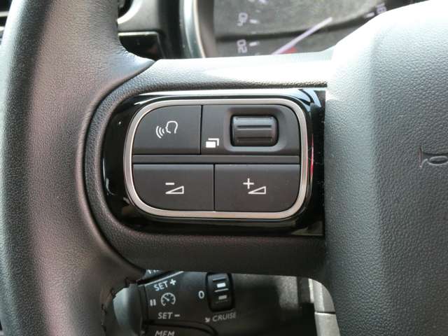 シトロエン Ｃ３ セントジェームス R1年 (関東) 99