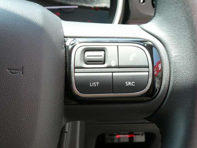 シトロエン Ｃ３ セントジェームス R1年 (関東) 99