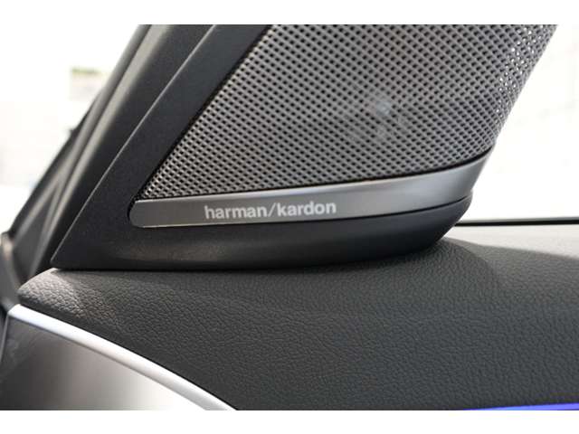 ＢＭＷ ５シリーズ ５２３Ｄ Ｍスポーツ ディーゼルターボ R1年 (近畿) 99