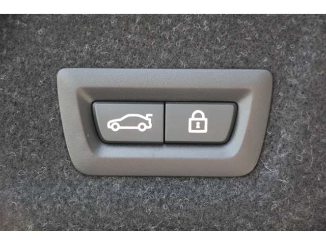 ＢＭＷ ３シリーズ ３２０ｉ　Ｍスポーツ R1年 (関東) 99