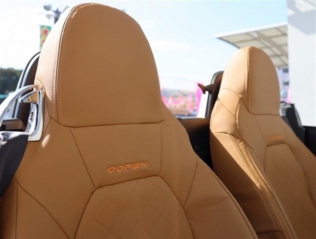 ダイハツ コペン ローブ ６６０ H26年 (関東) 99